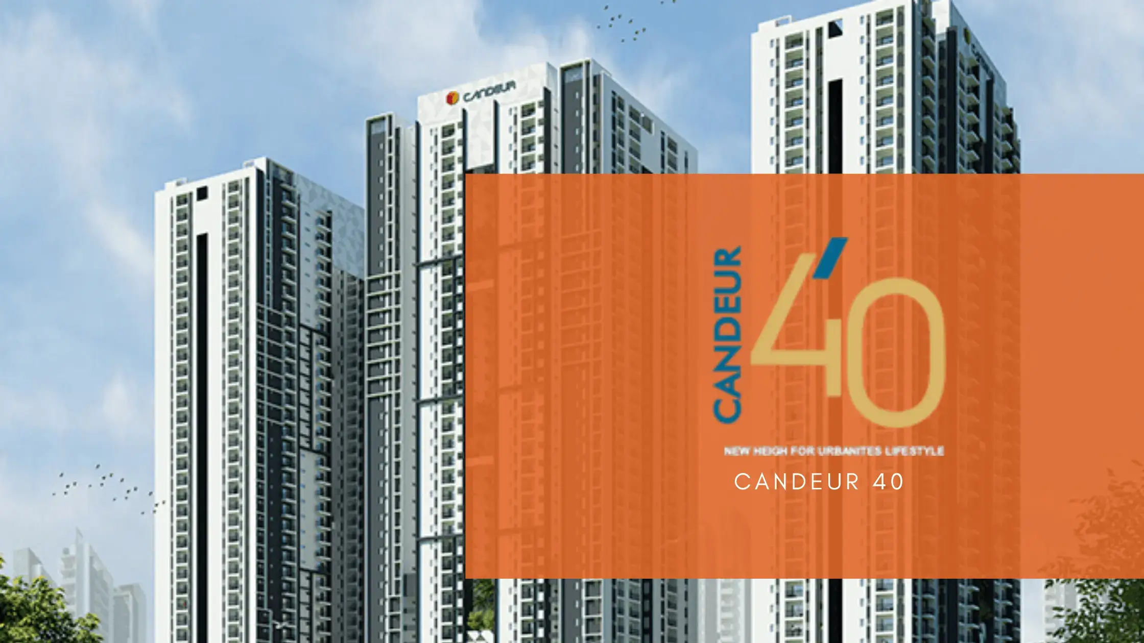 Candeur 40